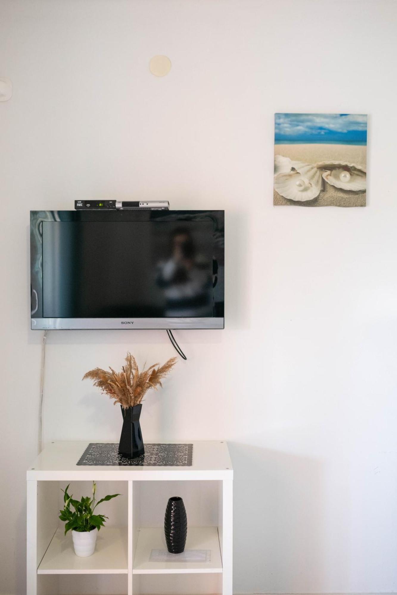 Apartment Thomas Novigrad  ภายนอก รูปภาพ